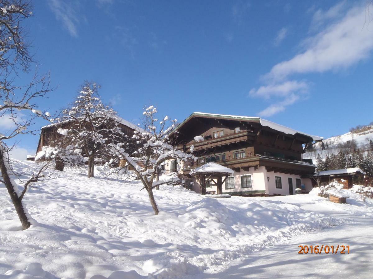 Hotel Pension Schachernhof Mittersill Exterior foto